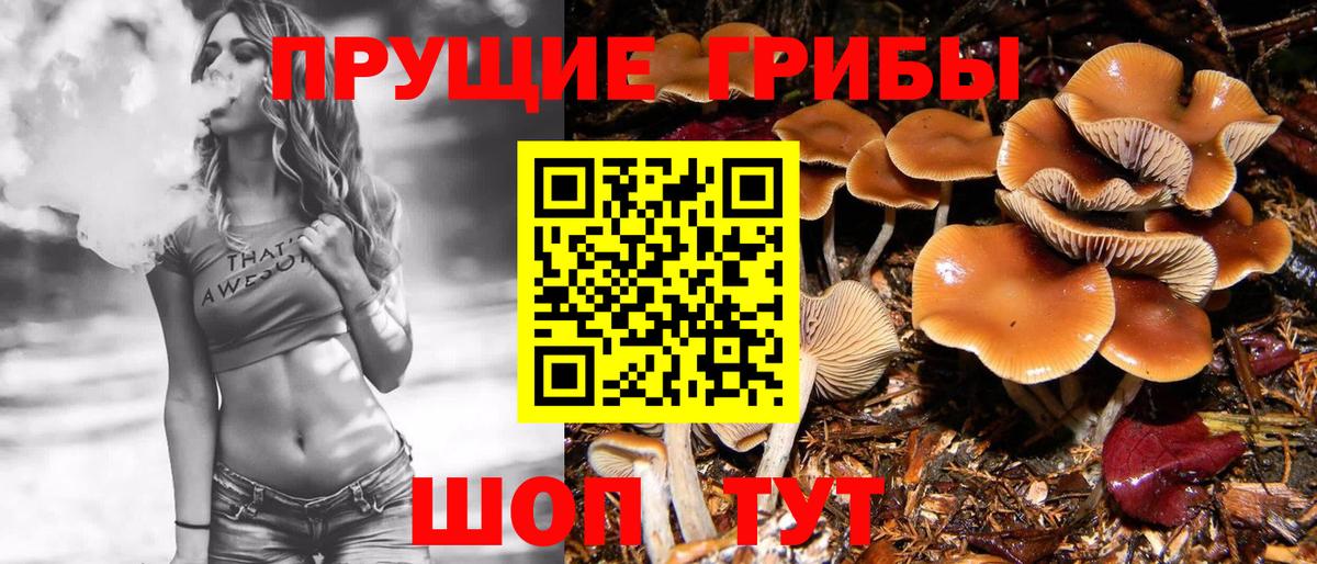 Псилоцибиновые грибы Magic Shrooms Сегежа