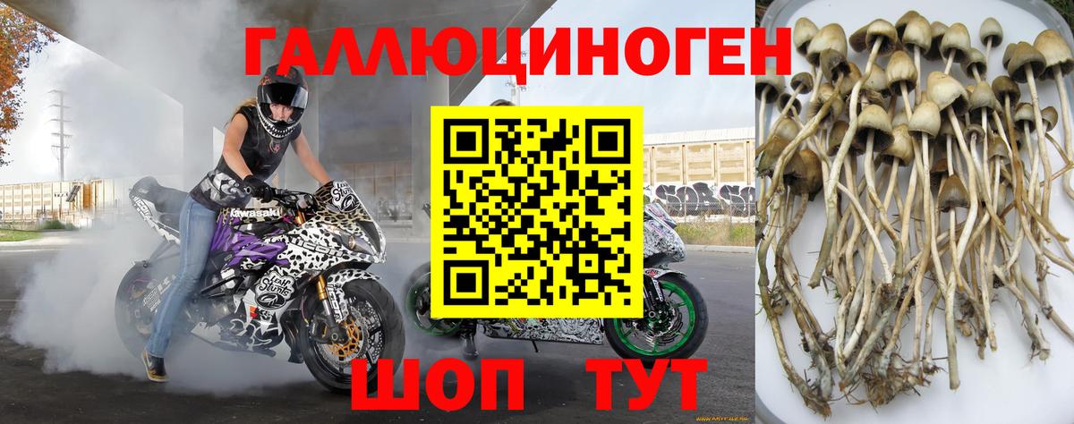 Сегежа  Псилоцибиновые грибы мицелий  Вход с VPN 